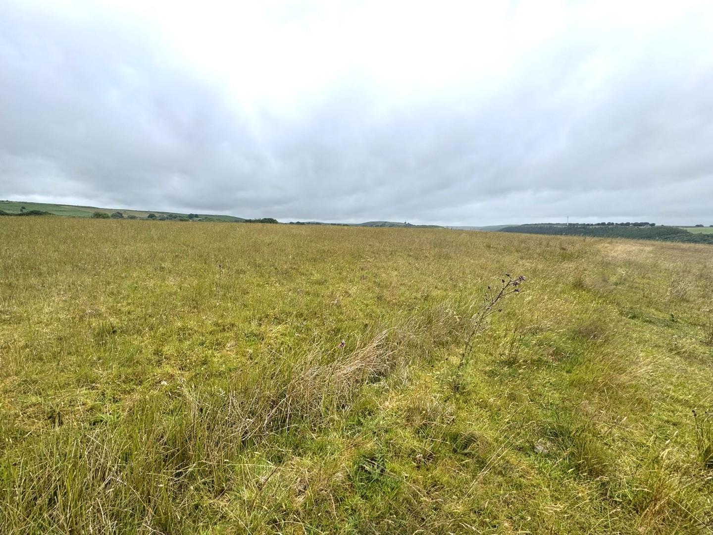 Approx. 45.98 acres of Land Heolddu Bargoed